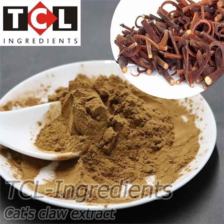 Cat's Claw Extract Poeder